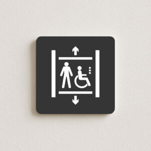 Dvigalo za gibalno ovirane osebe s spremljevalcem